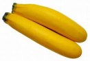 Yellow Zuchinni7